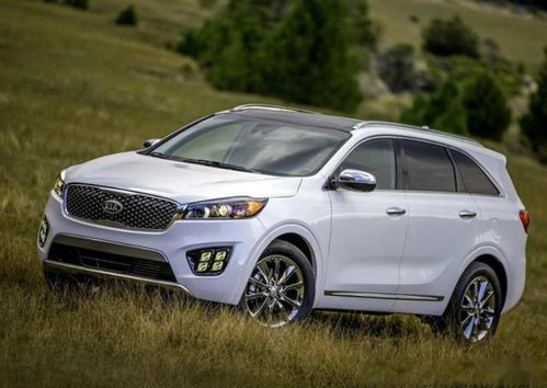 中大型suv排名前十名(中大型suv排名前十名哪款最好)