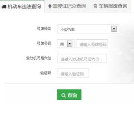 非本人违章查询入口(非本人违章查询入口在线查询)