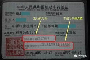 输入车牌号直接查违章交通违章(输入车牌号直接查违章交通违章沪AF97781) 输入车牌号直接查违章交通违章(输入车牌号直接查违章交通违章沪AF97781)