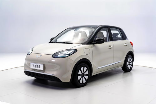 迷你电动小汽车(迷你电动小汽车能上高速吗)