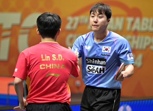 王楚钦与张本智和的争冠之路,一场精彩绝伦的较量 王楚钦与张本智和的争冠之路,一场精彩绝伦的较量