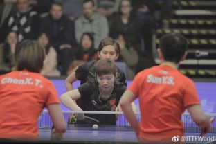 日本队包揽女双冠亚军,竞技场上的辉煌时刻 日本队包揽女双冠亚军,竞技场上的辉煌时刻