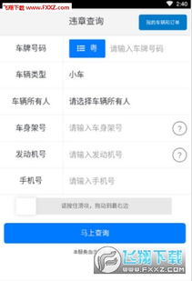 交通违章查询app(交通违章查询app官方正版)