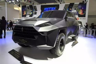 中国最贵的车第一名(中国最贵的车第一名阿尔特卡尔曼,在全球排第几)