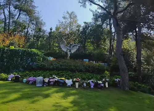 李玟墓地杂草清理记 李玟墓地杂草清理记