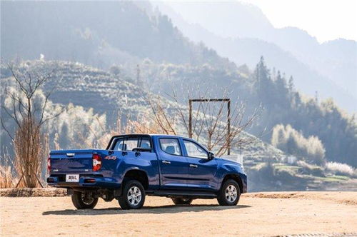 皮卡车哪个牌子好(皮卡车哪个牌子好用并且耐用) 皮卡车哪个牌子好(皮卡车哪个牌子好用并且耐用)