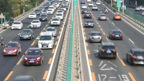 小客车指标摇号查询(小客车指标摇号查询官网北京) 小客车指标摇号查询(小客车指标摇号查询官网北京)