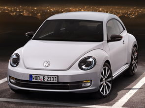 甲壳虫车型大全及价格表(甲壳虫汽车大全)