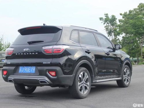 起亚智跑车主真实口碑(起亚智跑车主评价) 起亚智跑车主真实口碑(起亚智跑车主评价)