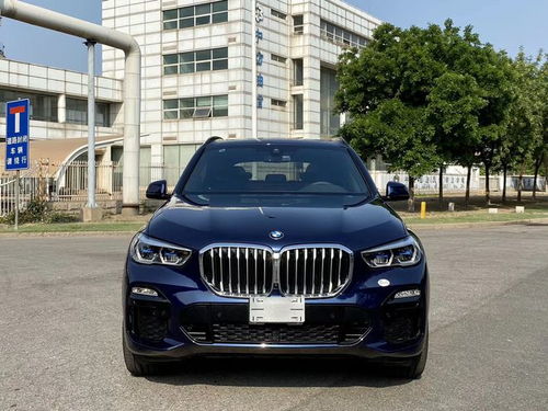 宝马x5官方指导价(宝马x5多少钱2020款试驾视频)