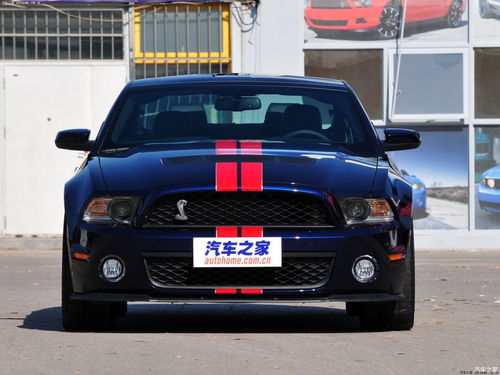 野马眼镜蛇gt500(野马眼镜蛇gt500图标)