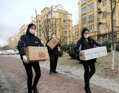 林志玲温暖河南之行，现身帮扶学生，传递爱心与希望