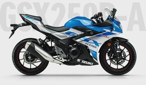 铃木gsx250官方售价(铃木gsx250 售价)