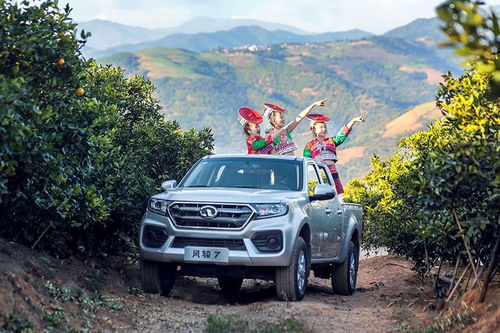 长城风骏5柴油皮卡(长城风骏5柴油皮卡手油泵在哪) 长城风骏5柴油皮卡(长城风骏5柴油皮卡手油泵在哪)