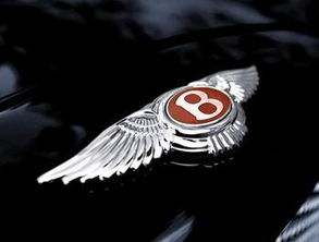 像宾利带翅膀标志的车(像宾利带翅膀标志的车是什么车)