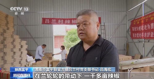 山东临沂一村庄年售30万只狗，产业背后的故事与思考