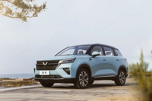 十万以下性价比高的汽车排行榜(8万落地最热销十款车)