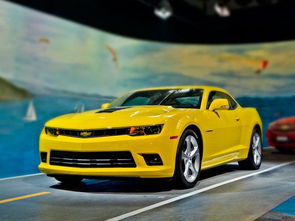 大黄蜂雪佛兰多少钱(大黄蜂雪弗兰多少钱) 大黄蜂雪佛兰多少钱(大黄蜂雪弗兰多少钱)