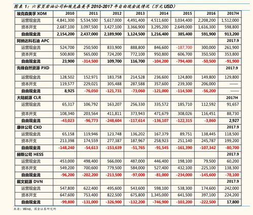 神州租车价格明细表(神州租车价格明细表最新)