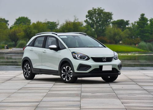 买飞度的十大忠告(买飞度的人脑子都有病)