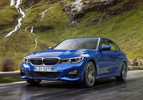 宝马新三系325li(宝马新三系325li倒车影像暗怎么调亮) 宝马新三系325li(宝马新三系325li倒车影像暗怎么调亮)