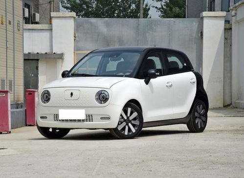 欧拉黑猫(欧拉黑猫电动车报价)