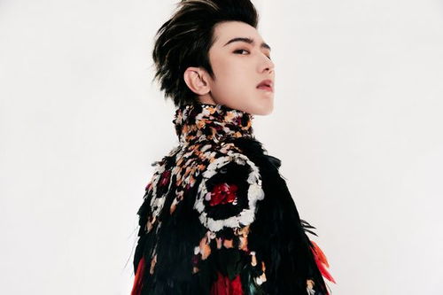 辛芷蕾的华丽转身，穿刺绣斗篷看秀的时尚魅力