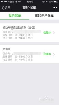 汽车保险怎么查询(买了汽车保险怎么查询)