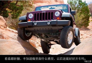 jeep车官网(jeep车官网官方网站)