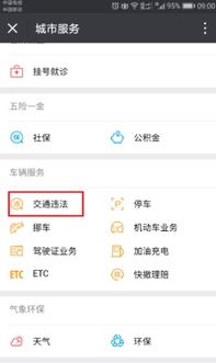 非本人查违章车辆查询(非本人查违章哪个软件最好)