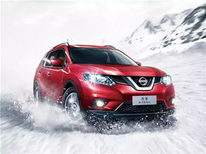 7万左右的车哪款好(10万左右的车买哪款好)