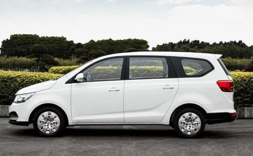 五菱豪华7座商务车(五菱豪华7座商务车电动)