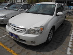 赛拉图二手车报价(赛拉图二手车报价大全)