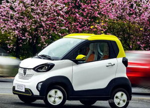 小型新能源汽车排名及价格(小型新能源车型及价格)