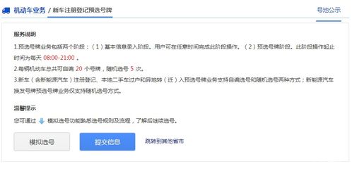 车牌号码自选网(车牌号码自选网查询)