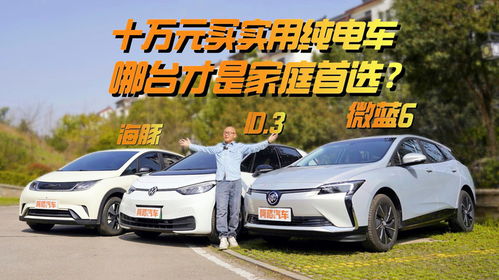 2022建议买的纯电车(2021纯电车 推荐)