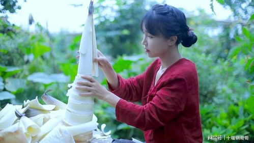 李子柒归来，投资者的牛市启航