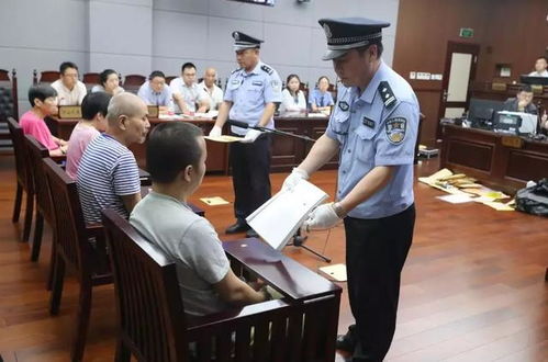 法院权威辟谣，教授起诉深圳交警胜诉案的真相