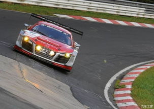 为什么所有赛事都禁奥迪(奥迪为什么不参加wrc)