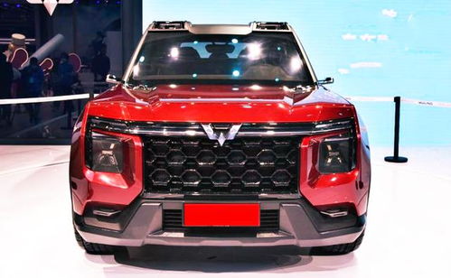 五菱新款suv(五菱新款sUV黑武士)