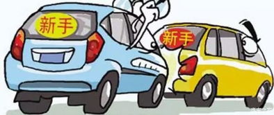 新手上路怎么练胆子(新手上路怎么练胆子起步刹车必须踩到底吗) 新手上路怎么练胆子(新手上路怎么练胆子起步刹车必须踩到底吗)