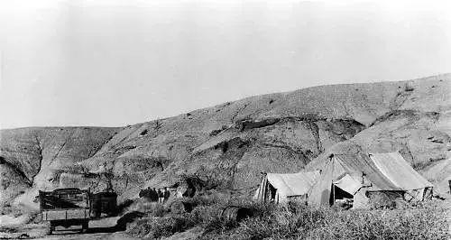 妈妈,全红婵,国家的女儿,荣耀的象征 妈妈,全红婵,国家的女儿,荣耀的象征