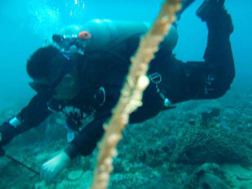 喜讯，7名潜水失联中国游客全部安全找到