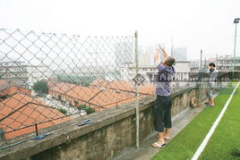 上海楼顶水箱浮力球频遭盗窃,千余起事件引发社会关注 上海楼顶水箱浮力球频遭盗窃,千余起事件引发社会关注