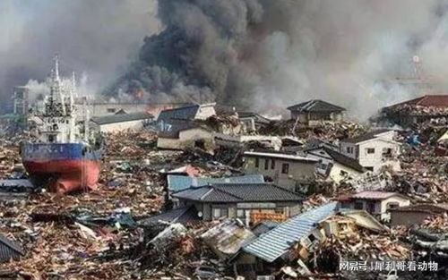 山西临汾地震，警钟长鸣，共克时艰