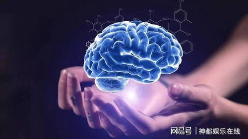 躺平现象,大脑的自我保护机制 躺平现象,大脑的自我保护机制