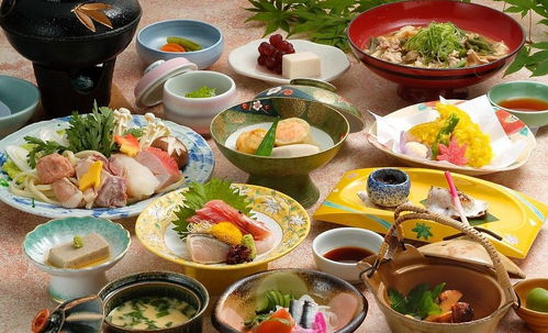 饮食节奏之快与慢,身体变化之探究 饮食节奏之快与慢,身体变化之探究