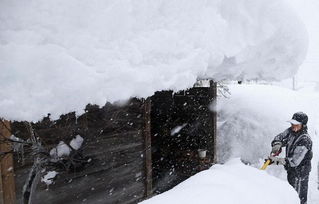 郑州遭遇罕见大暴雪，风雪中的城市与人间温情