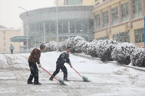 高速暴雪返乡大军，从白天到黑夜的坚守与挑战