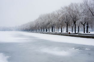 西安的雪，东北的气势